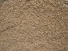 Sand-1.jpg